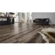 Canyon Ahorn fózolt laminált padló 8mm/Ac4/32 kopásállóság, széles panel - D6006