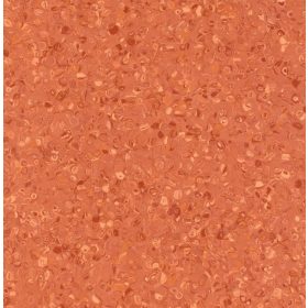 Homogén Pvc padló Coral Fortis