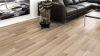 Petrona tölgy laminált padló 8mm/Ac4/32 kopásállóság, fózolt - 37195