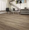 Tortona tölgy laminált padló 8mm/Ac4/32 kopásállóság, fózolt - 37663