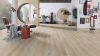 Ecru Cantal Oak vízálló laminált padló 8mm/Ac4/32 kopásállóság, fózolt - K653